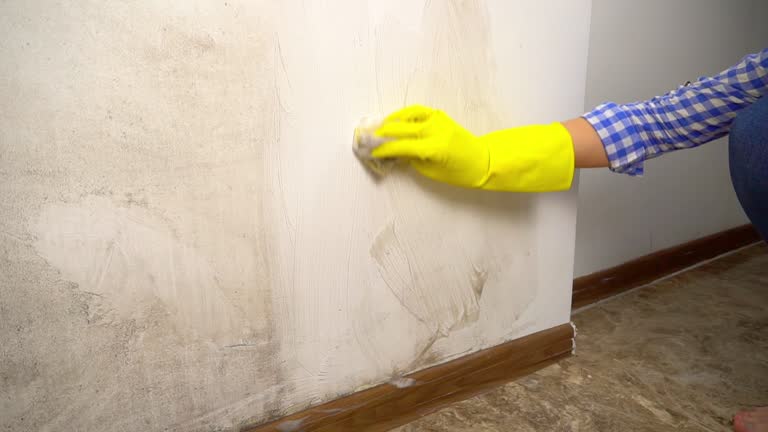 Best Crawl Space Mold Remediation  in Manhattan, MT
