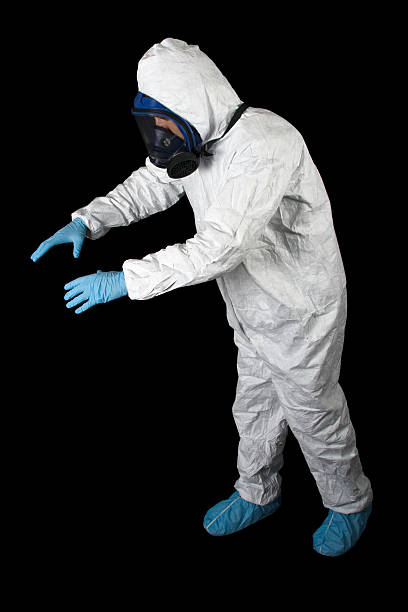 Asbestos and Lead Testing During Mold Inspection in Manhattan, MT