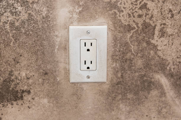 Best Water Damage & Mold Remediation  in Manhattan, MT