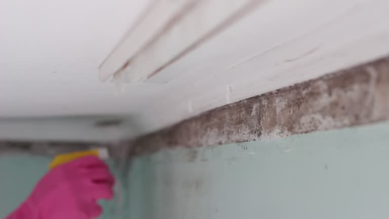 Best Indoor Air Quality Assessment  in Manhattan, MT